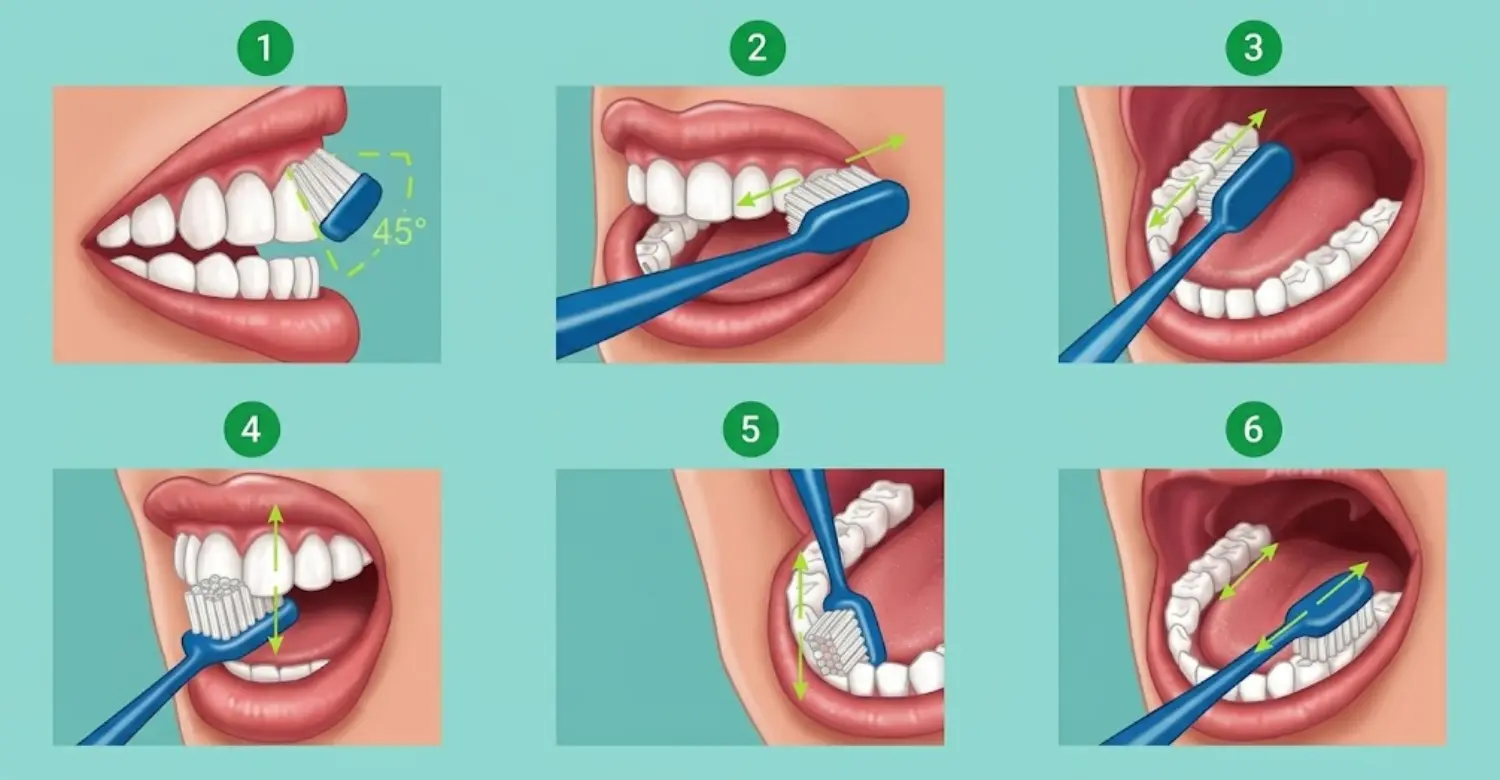 Correct Brushing Technique 2